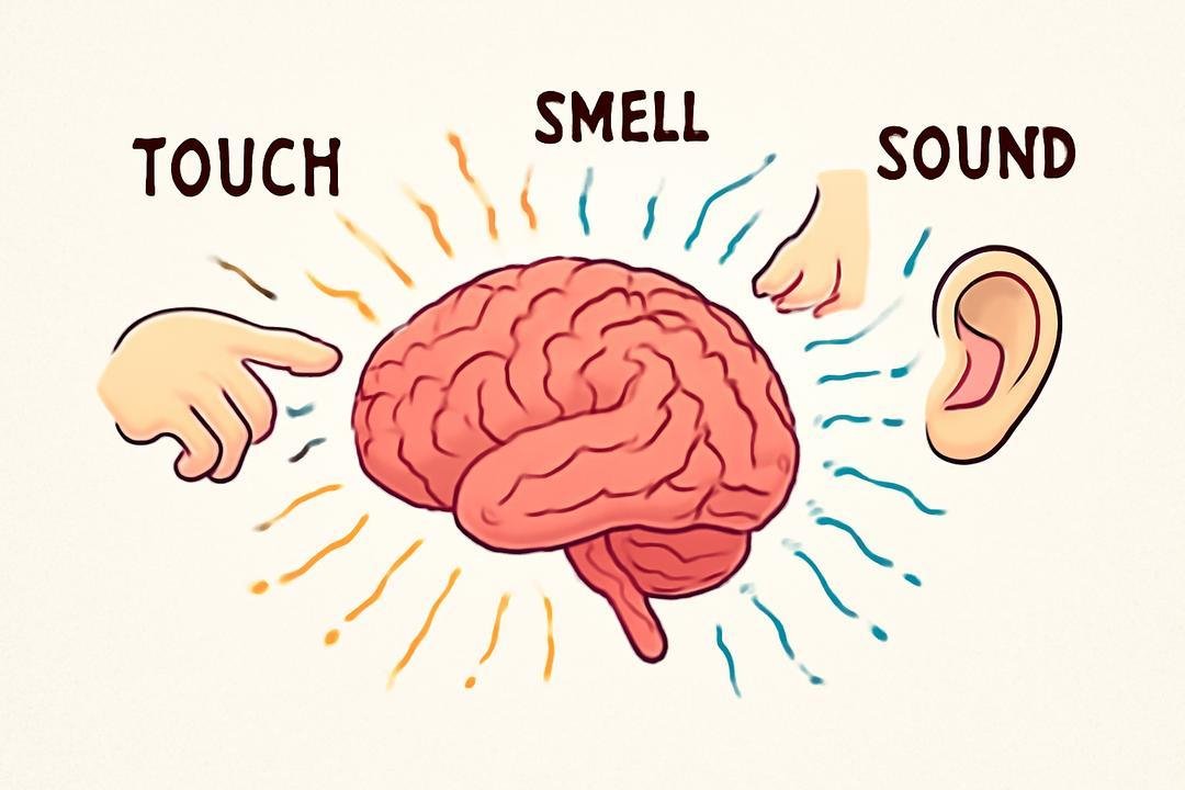 Como estimular suas experiências sensoriais no dia a dia